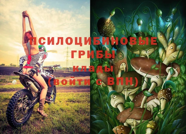трава Армянск