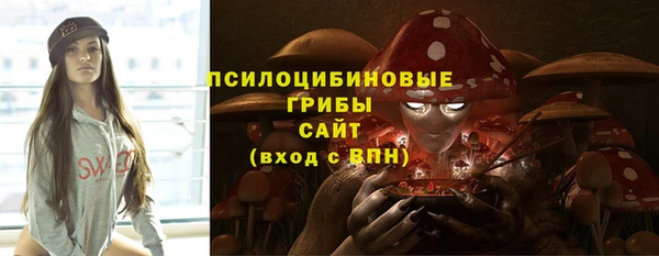 трава Армянск